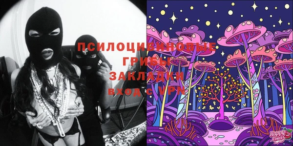 ECSTASY Новодвинск
