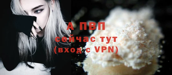 ECSTASY Новодвинск