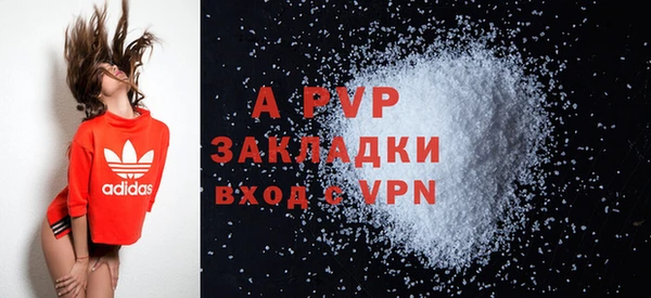 ECSTASY Новодвинск