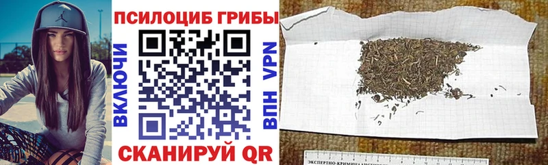 Галлюциногенные грибы мухоморы  Руза 